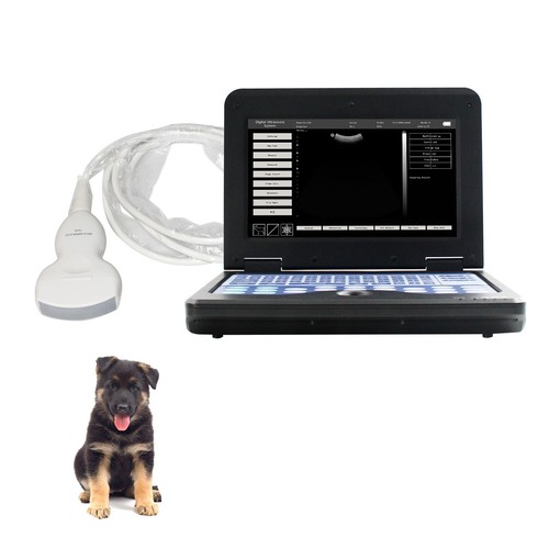 Portable vet veterinary - vet,