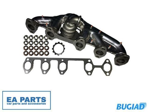 Manifold exhaust system - exhaust, for