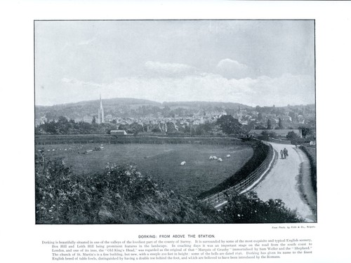 Dorking from above the - above,