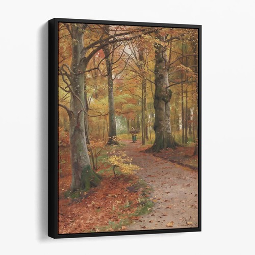 Beech forest autumn - a, in