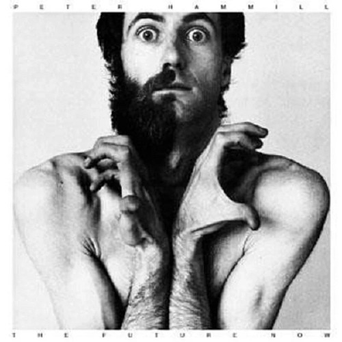Peter hammill future now 2 - now, +2