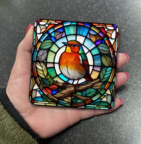 Stunning robin red breast bird - stunning,