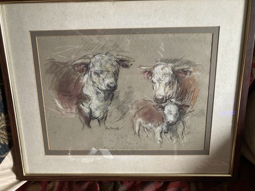 Vera howarth pastel - vera, drawing