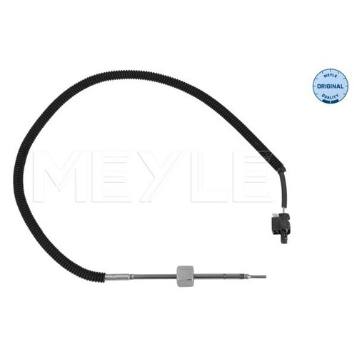 Exhaust gas temperature - gas,