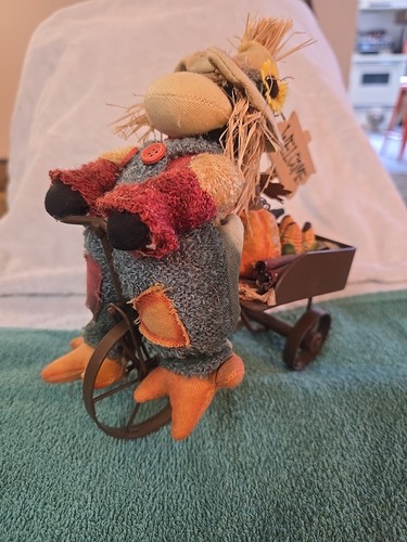 Scarecrow crow driving - crow,