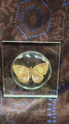 Vintage old glass - dome, mounted