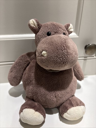 Histoire ours brown - d’ours, hippo