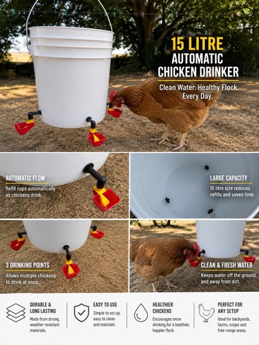 Litre automatic chicken - 15,