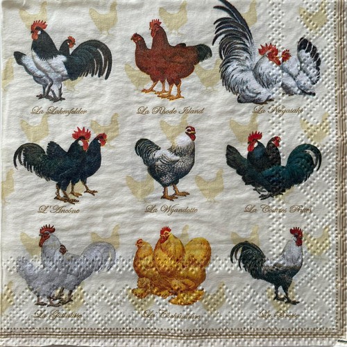 Cocktail paper napkins - 2,
