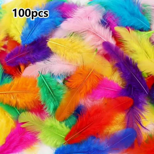 100pcs mixed colour craft - mixed,