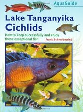 Tanganyika Cichlids