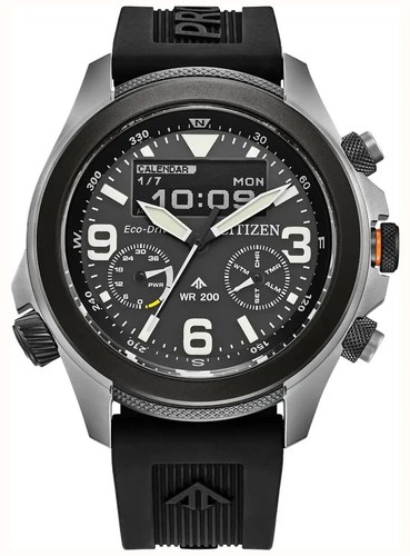 Citizen men promaster - promaster, land
