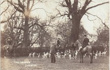 Chenies. The Fox Hounds by