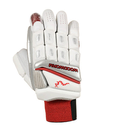 Woodworm cricket test - cricket,