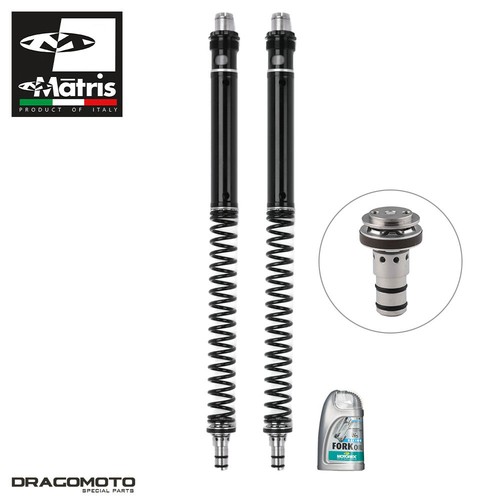 Fork kit suzuki 650 - sv,