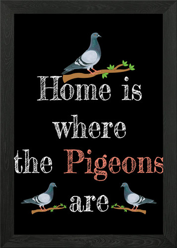 Homing pigeons gift - gift, framed
