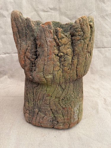 Real wooden tree trunk - tree, rustic