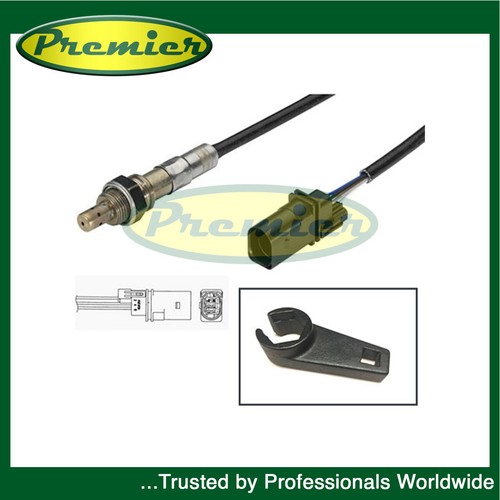 Premier front right lambda - premier,