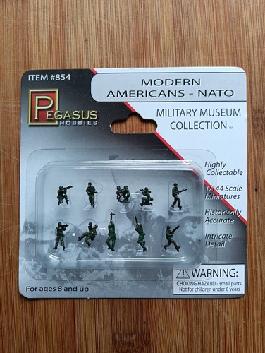 Pegasus 144 scale military - scale,