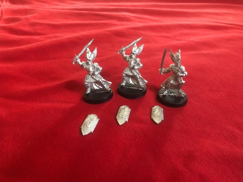 Swan knights dol amroth - swan, of