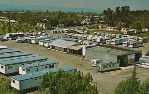 Santa rosa mitchells - santa, acres
