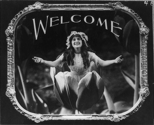 Photo welcome woman - woman, tulip