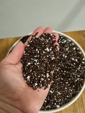 Organic house plant - organic, compost