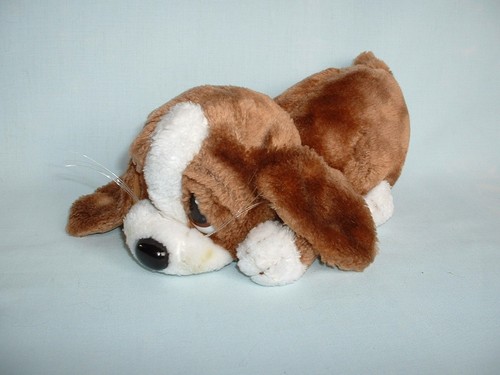 Sad sam dog lying down - sam,