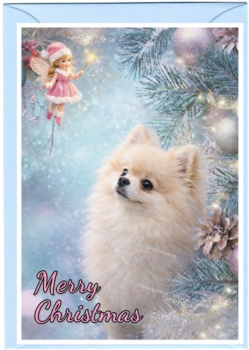 Pomeranian dog - a6, x
