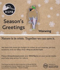 RSPB Pin Badge NIIC Special