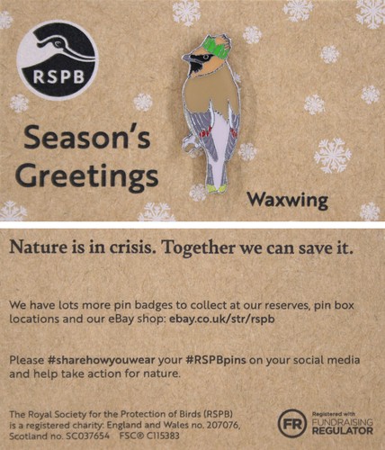 Rspb pin badge niic - rspb,