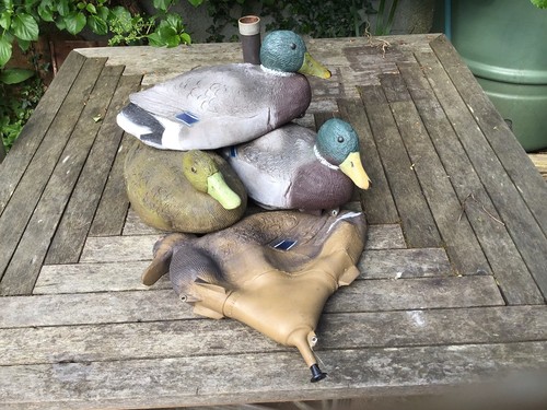 Duck decoys - duck,