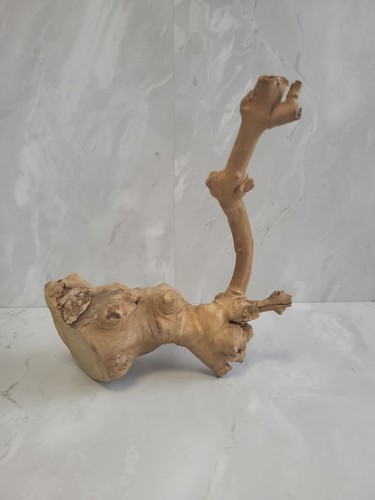 Natural driftwood root trunk - driftwood,