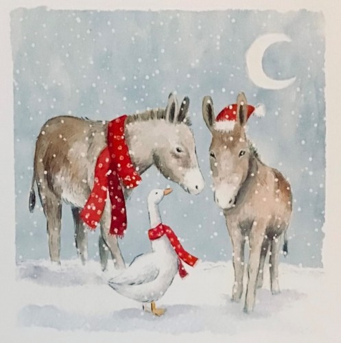Donkeys goose scarves - in,