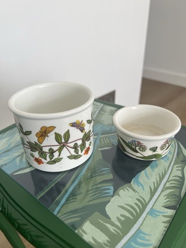 Botanic garden plant pot - plant,
