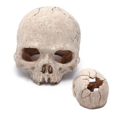 HOT!! Aquarium Resin Spooky