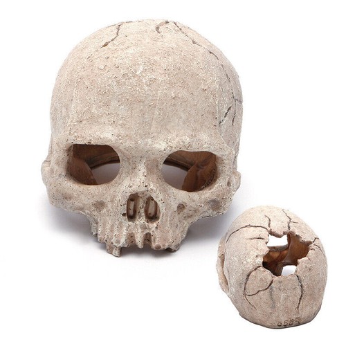 Hot aquarium resin spooky - hot!!,