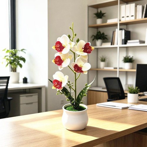 Artificial phalaenopsis orchid - phalaenopsis,