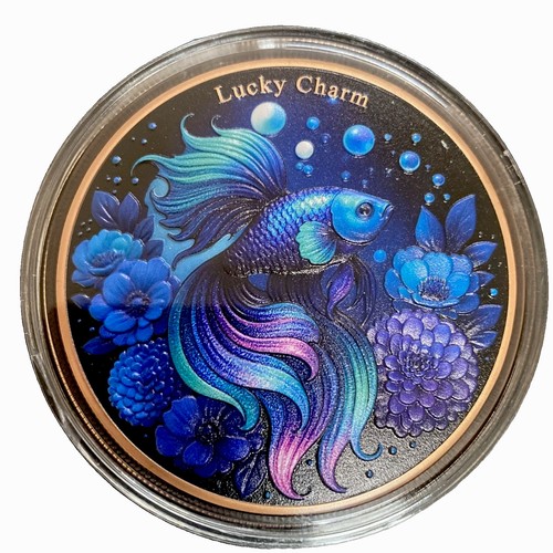 Siamese fighting fish lucky - fighting,