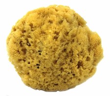 Natural Sea Sponge Bath-Shower