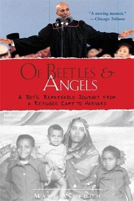 Beetles angels asgedom - beetles, angels,