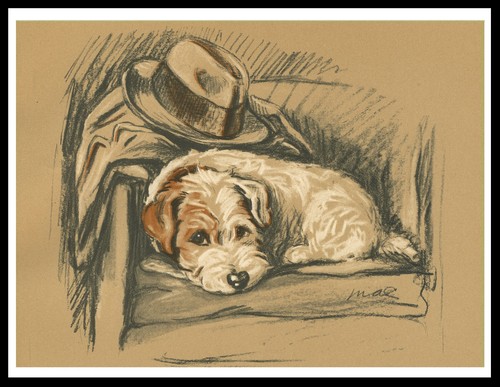 Jack russell terrier dog - terrier, art