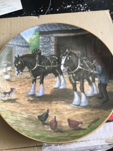 Horse plate preparing - horse,
