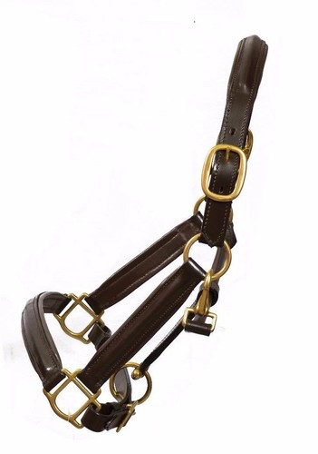Leather horse padded halter - leather,