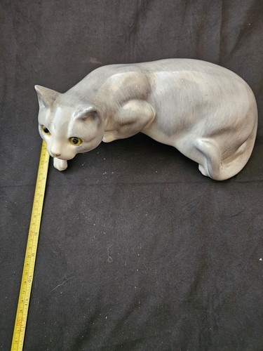 Grey cat stoke - stoke, cats