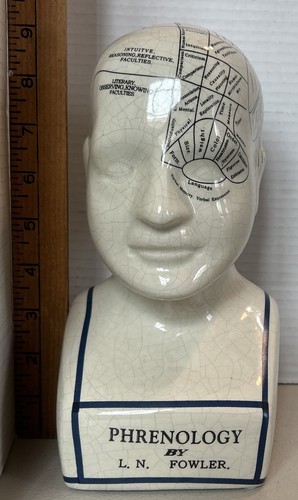 Phrenology head bust - phrenology,