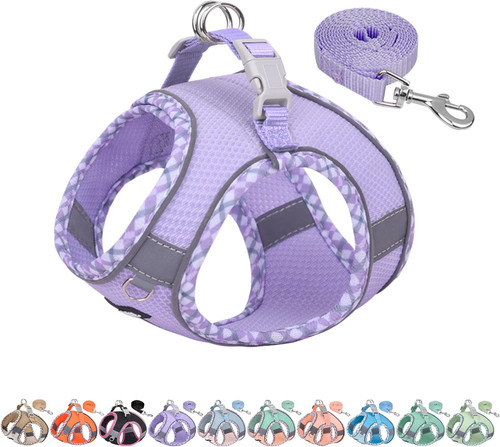 Teacup puppy harness with - harness,