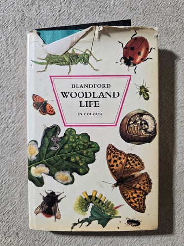 Woodland life blandford - -,