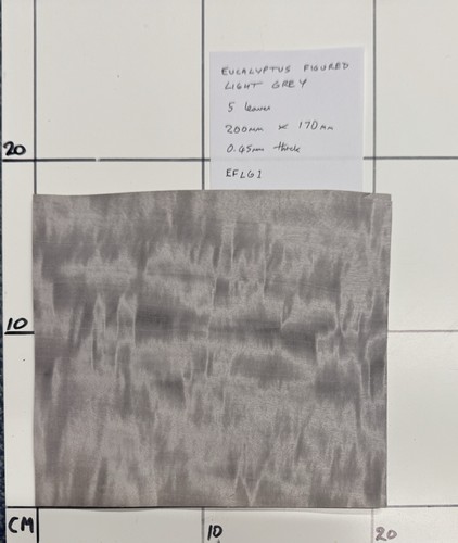 Eucalyptus figured light grey - eucalyptus,