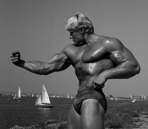 Over 800 vintage - over, bodybuilding